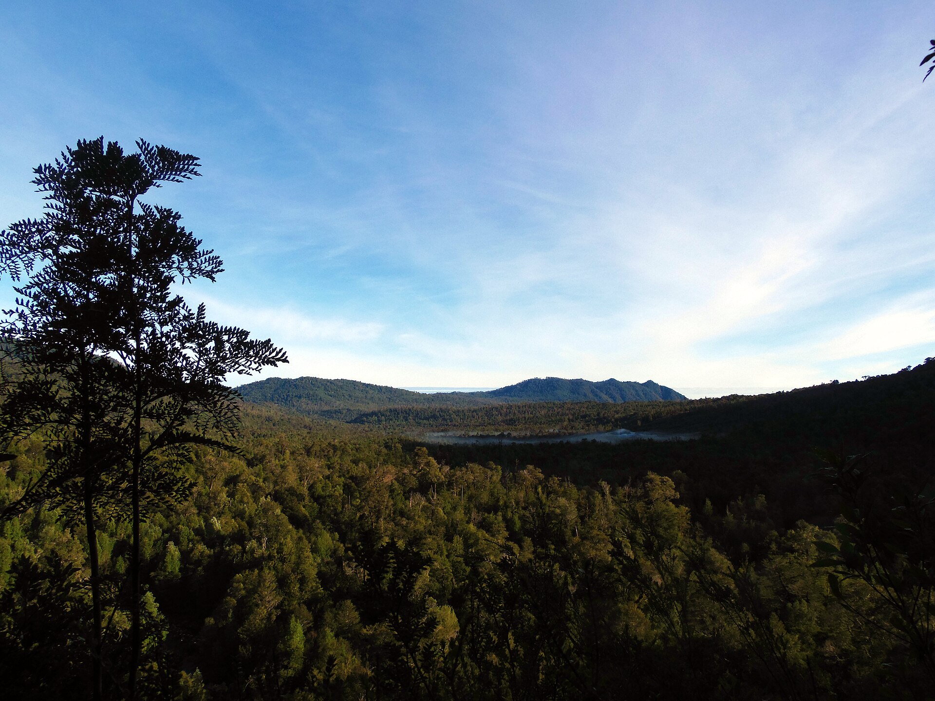 Sin imagen: Parque Nacional Alerce Andino