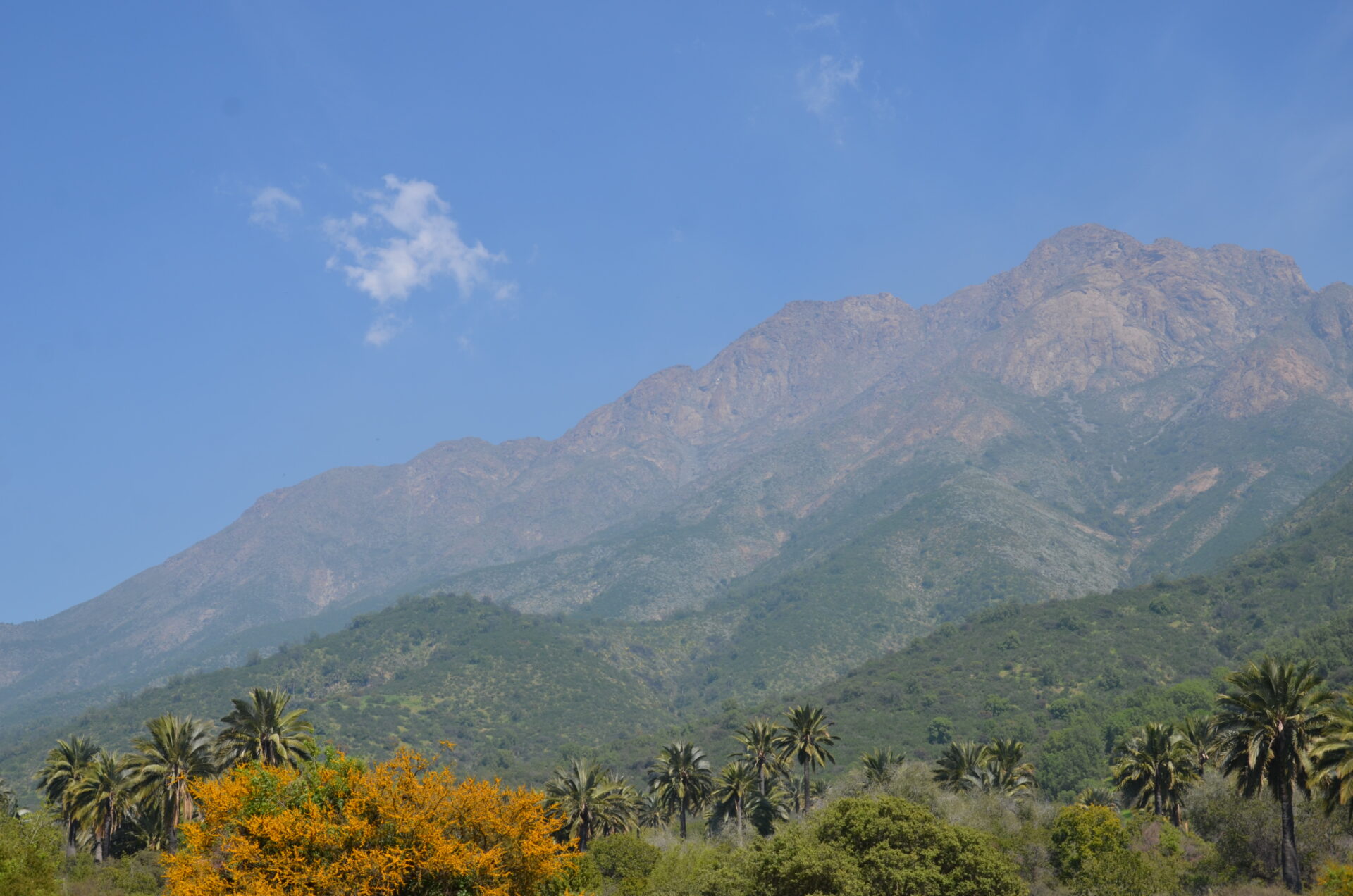 Sin imagen: Parque Nacional La Campana