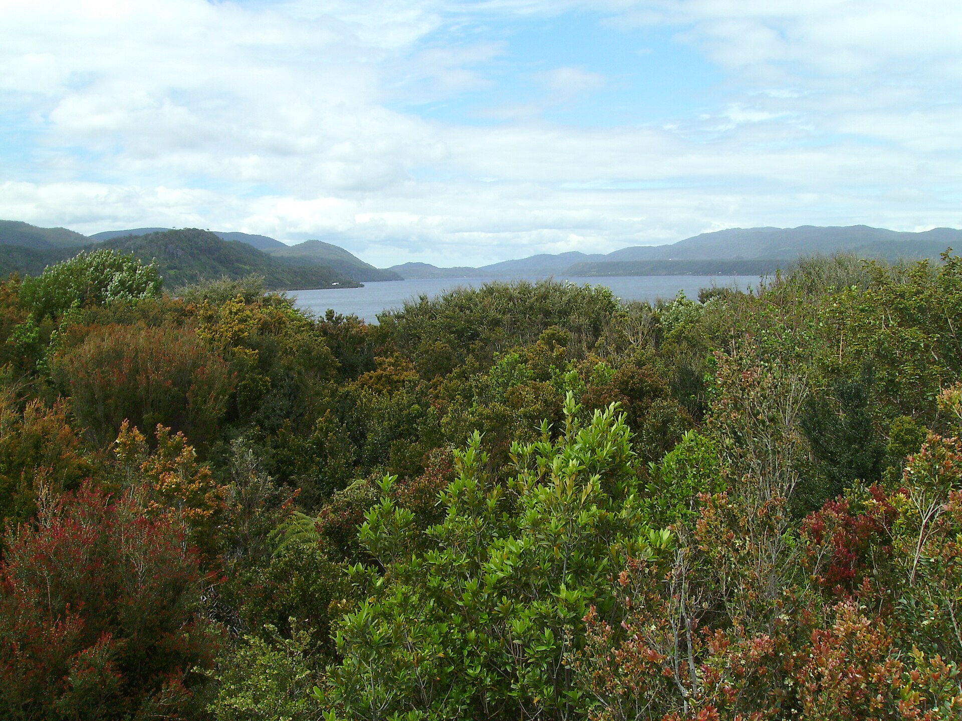 Sin imagen: Parque Nacional Chiloé