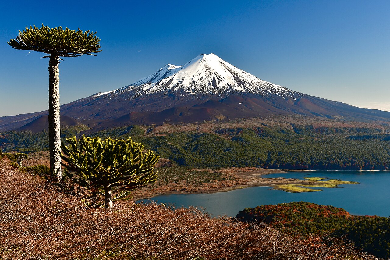 Sin imagen: Parque Nacional Conguillío
