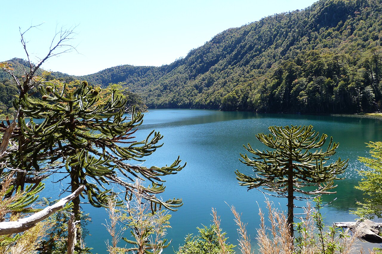 Sin imagen: Parque Nacional Huerquehue