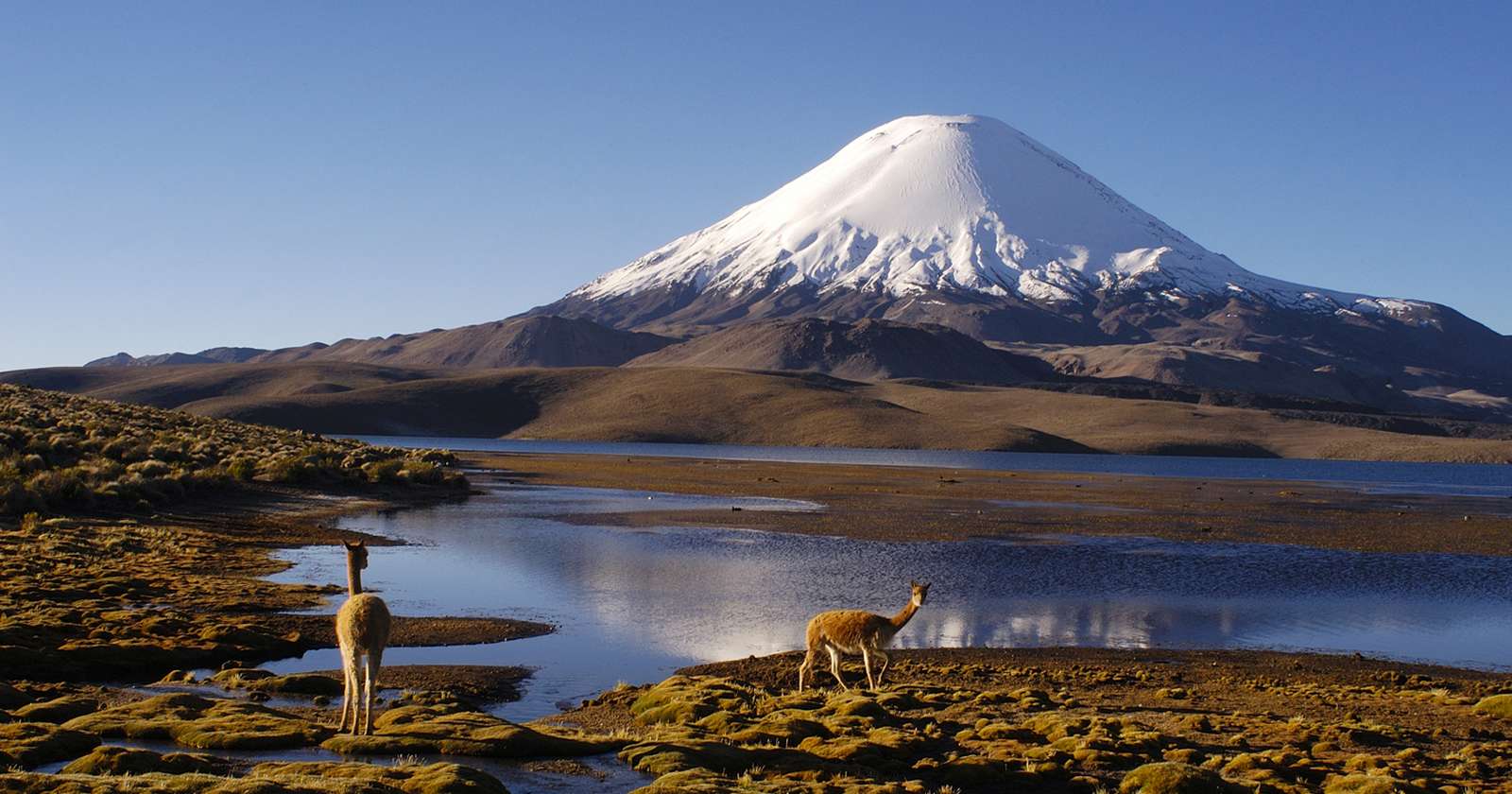 Sin imagen: Parque Nacional Lauca