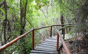 Sin imagen: Reserva Nacional Río Clarillo