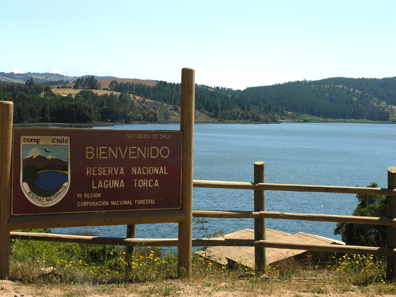 Sin imagen: Parque Nacional Pumalín Douglas Tompkins